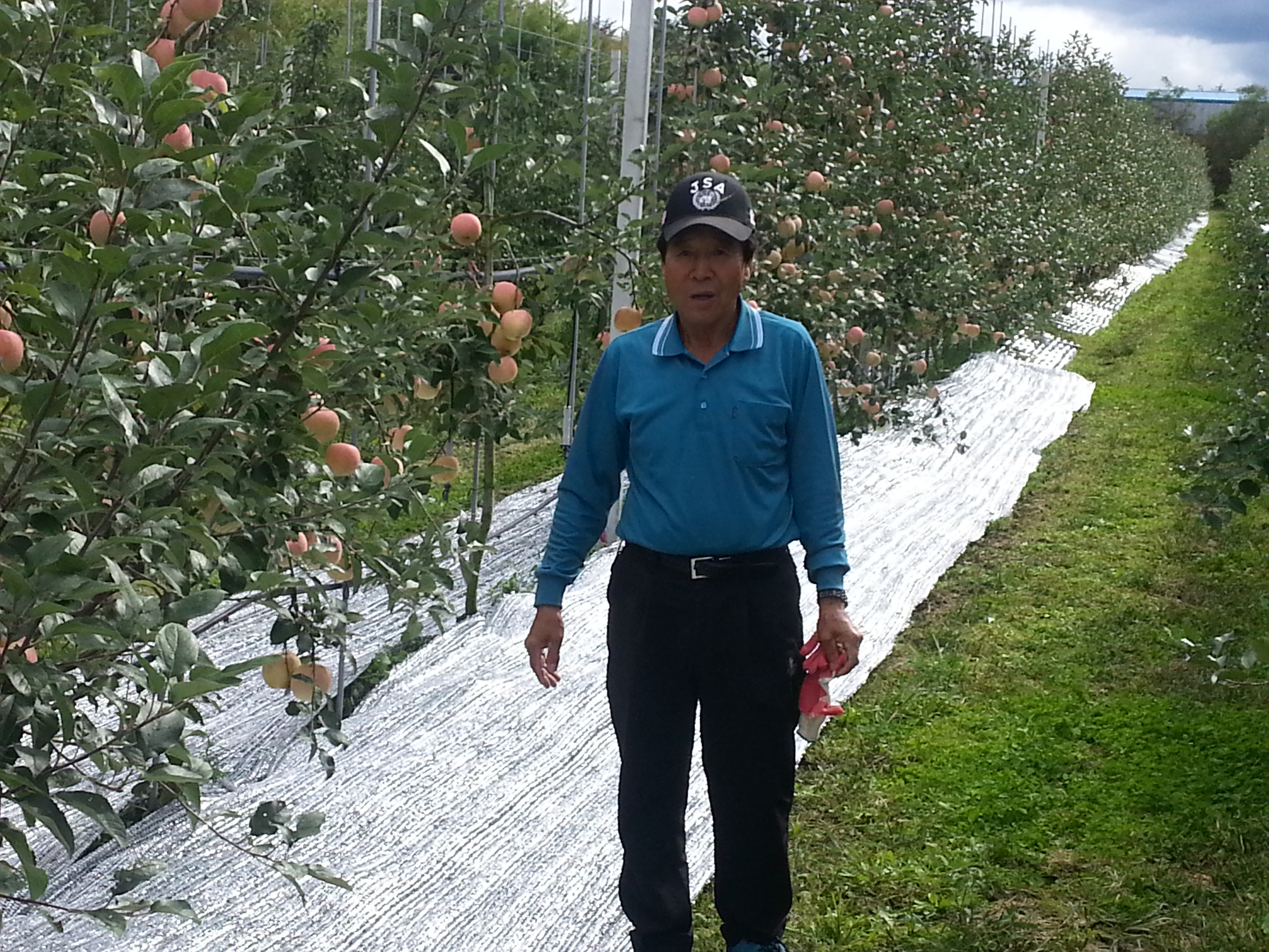 밀감농사에 참고 바랍니다.